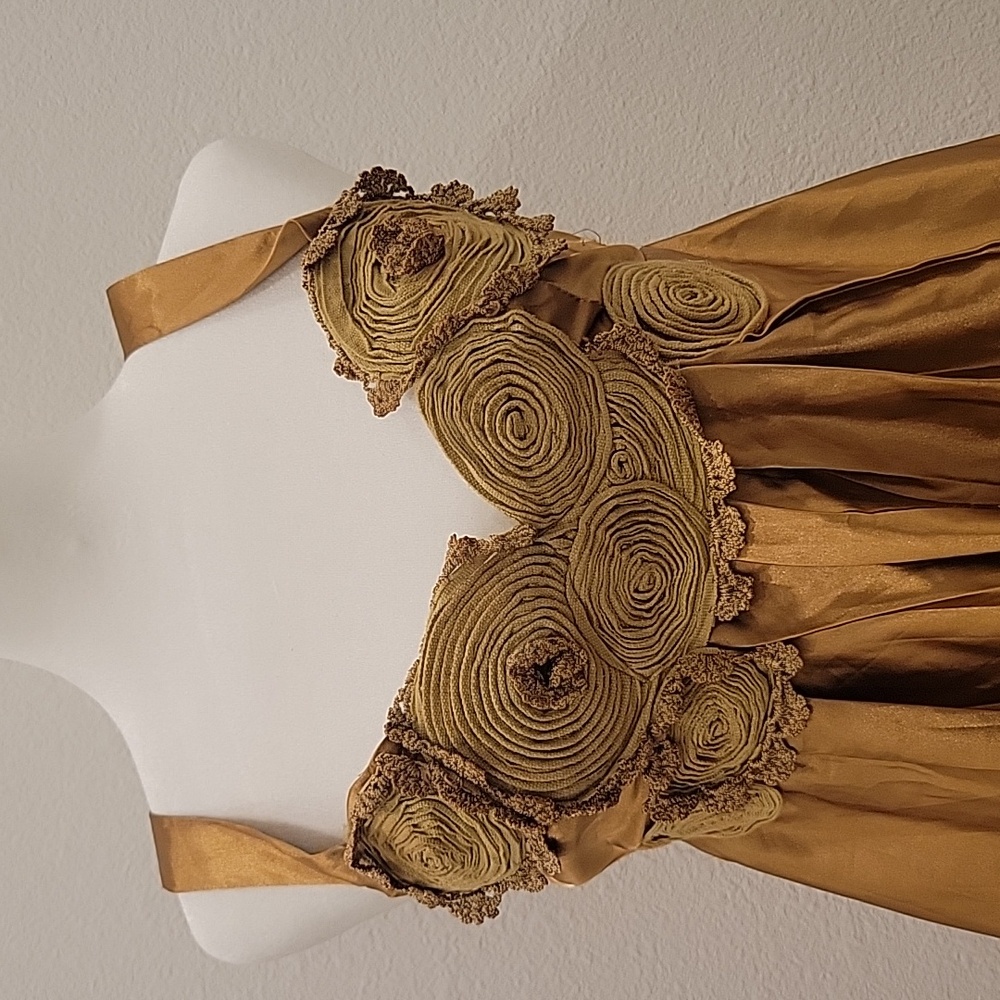 Hot and Delicious size small bronze ornate dress